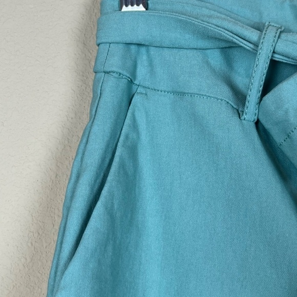 Jules & Leopold Sage Wide Leg Pull On Tie Waist Pants; Size L; EUC - Picture 3 of 9